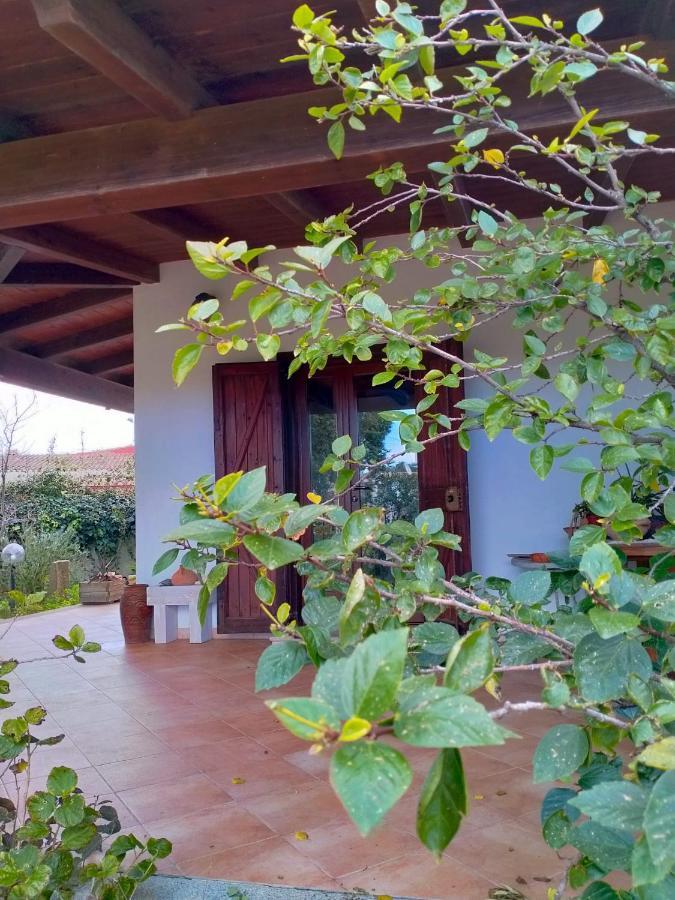 Гостевой дом Casa Armas Буджерру Экстерьер фото
